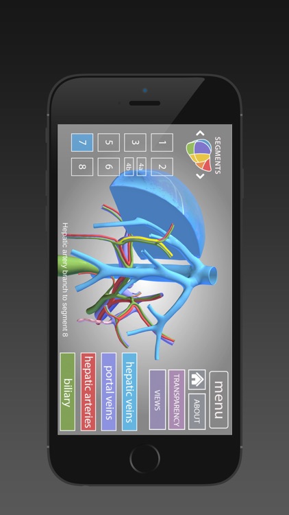 Surgical Anatomy of the Liver (iPhone)
