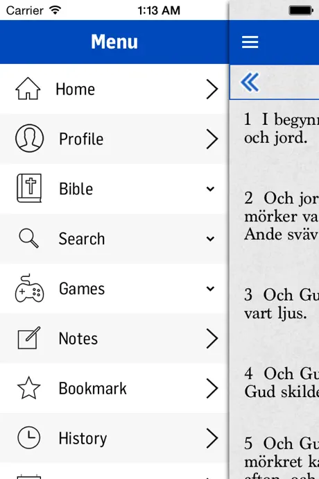 Swedish Bible