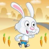 Bunny Carrot Run