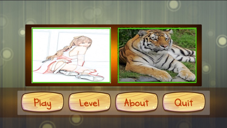 Flip the same Images