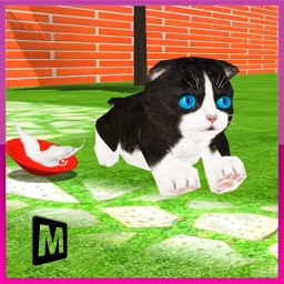 Crazy Kitty Cat Madness 3D