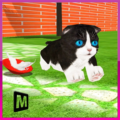 Crazy Kitty Cat Madness 3D iOS App