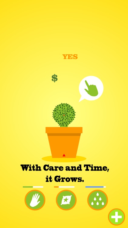 Lucky Cactus Grow