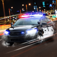 Simulator Driver COP Car 3D