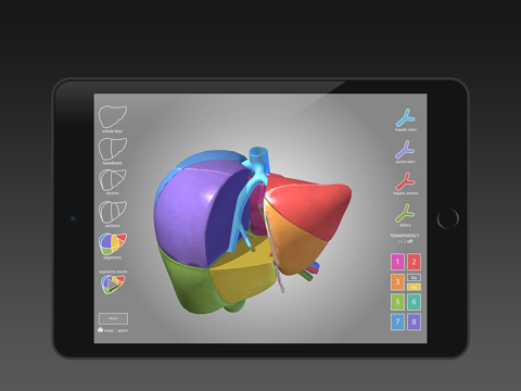 Surgical Anatomy of the Liverのおすすめ画像5