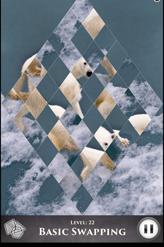 Hidden Scenes - Polar Bears screenshot 3