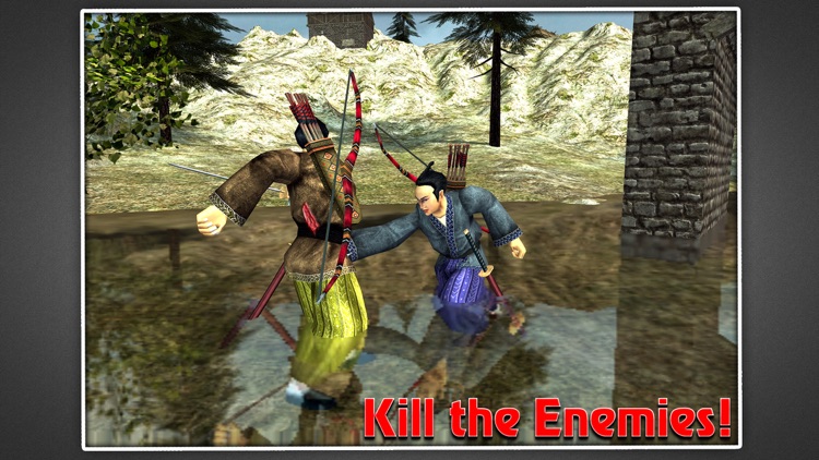 Samurai Warrior Assassin