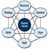 7s Framework Quick Study Reference: Cheat sheets with Glossary and Video Lessons