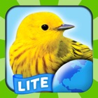 Top 50 Education Apps Like My Bird World HD Lite - Best Alternatives