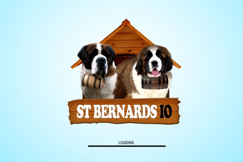 St. Bernards IO screenshot 3