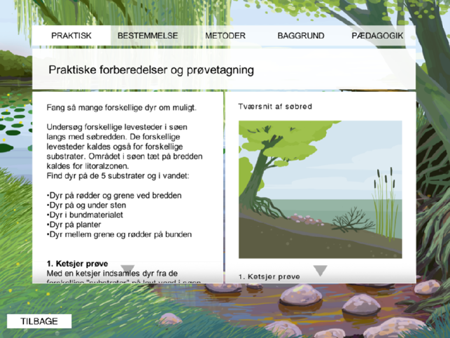 Dyr i søen(圖2)-速報App