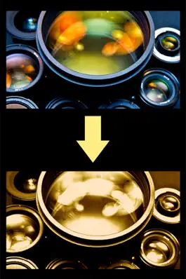Game screenshot Gold Lens hack
