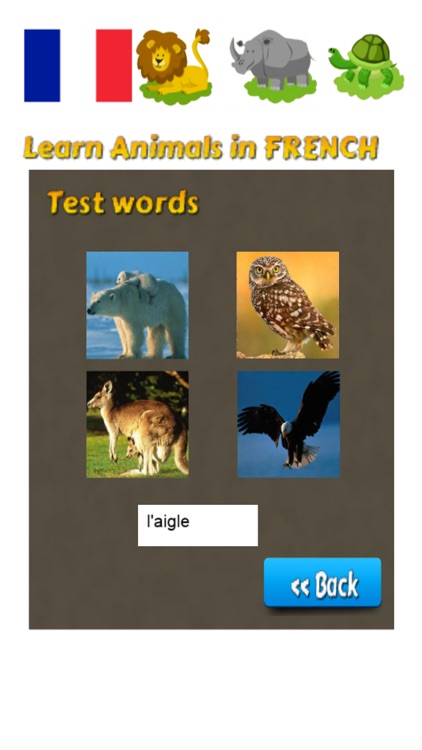 Learn Animals in French Language