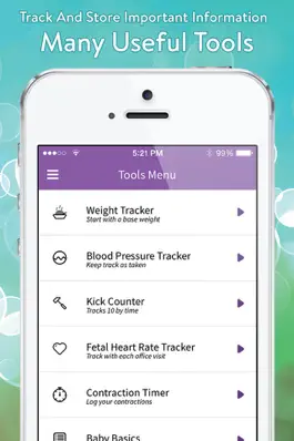 Game screenshot Pregnancy View hack