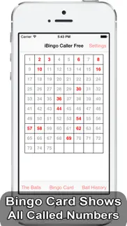 ibingo caller - play bingo at home with friends! iphone screenshot 4