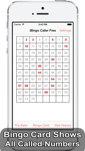 iBingo Caller - Play Bingo at Home with Friends! screenshot 4