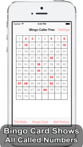 iBingo Caller - Play Bingo at Home with Friends! screenshot
