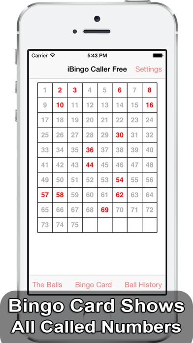 iBingo Caller - Play Bingo at Home with Friends! Screenshot