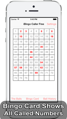 iBingo Caller - Play Bingo at Home with Friends! screenshot 4