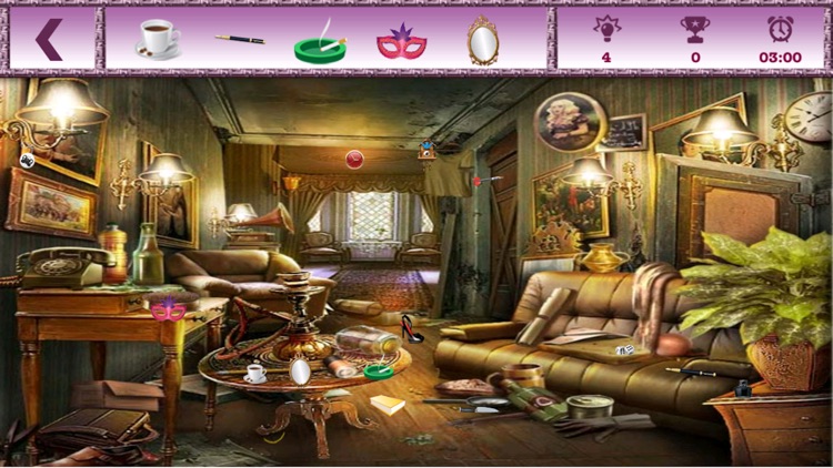 Destiny Home : The Hidden Object