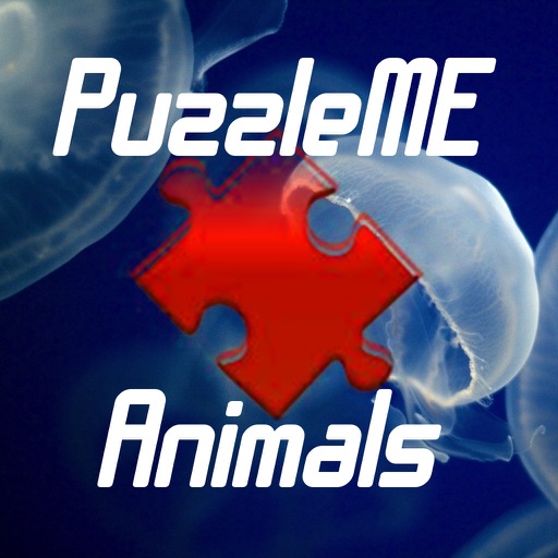 PuzzleME Series - Animal Edition