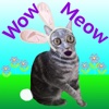 Wow Meow Bunny Cat