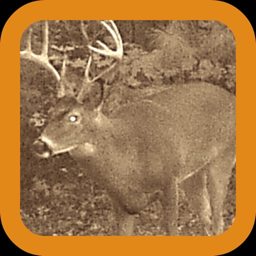 Hunter Stand: Deer Sniper Action iOS App