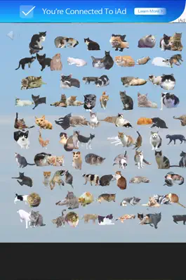 Game screenshot Find 101 Cats hack