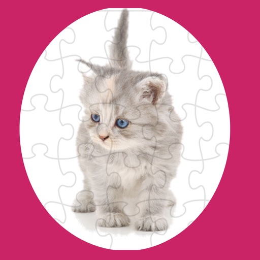 Cute Kitty Jigsaw Pro icon