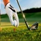 How To Play Golf is the complete video guide for you to learn golf