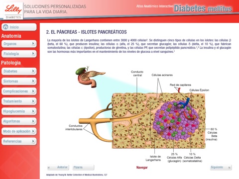 Atlas Diabetes Mellitus screenshot 3