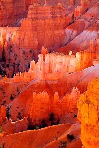 Bryce Canyon National Park wallpapers screenshot 4