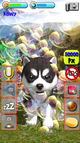 Game screenshot Talking Puppies, virtual pets to care, your virtual pet doggie to take care and play mod apk