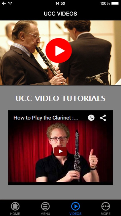 Play a Clarinet Made Easy For Beginners screenshot-3