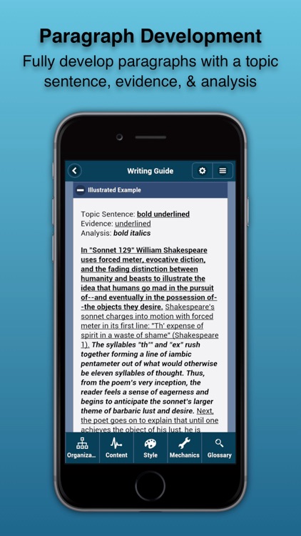 Essay Writing Guide screenshot-3