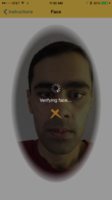 VerifyX screenshot