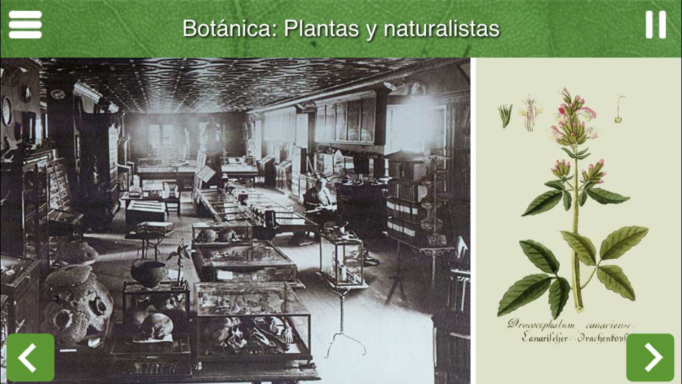 Museo de la Naturaleza y el Hombre screenshot 4