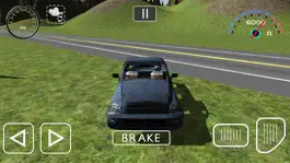 Game screenshot 3D Pickup Simulator apk