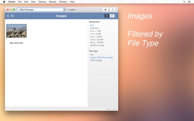 Tembo 2 - File Search(圖4)-速報App