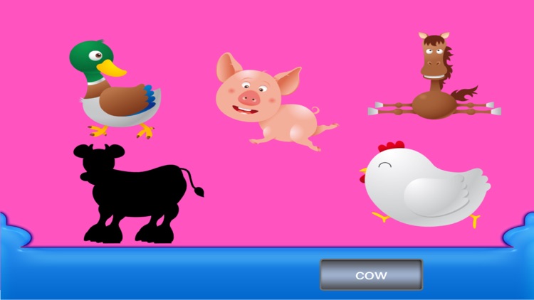 What animal is this?