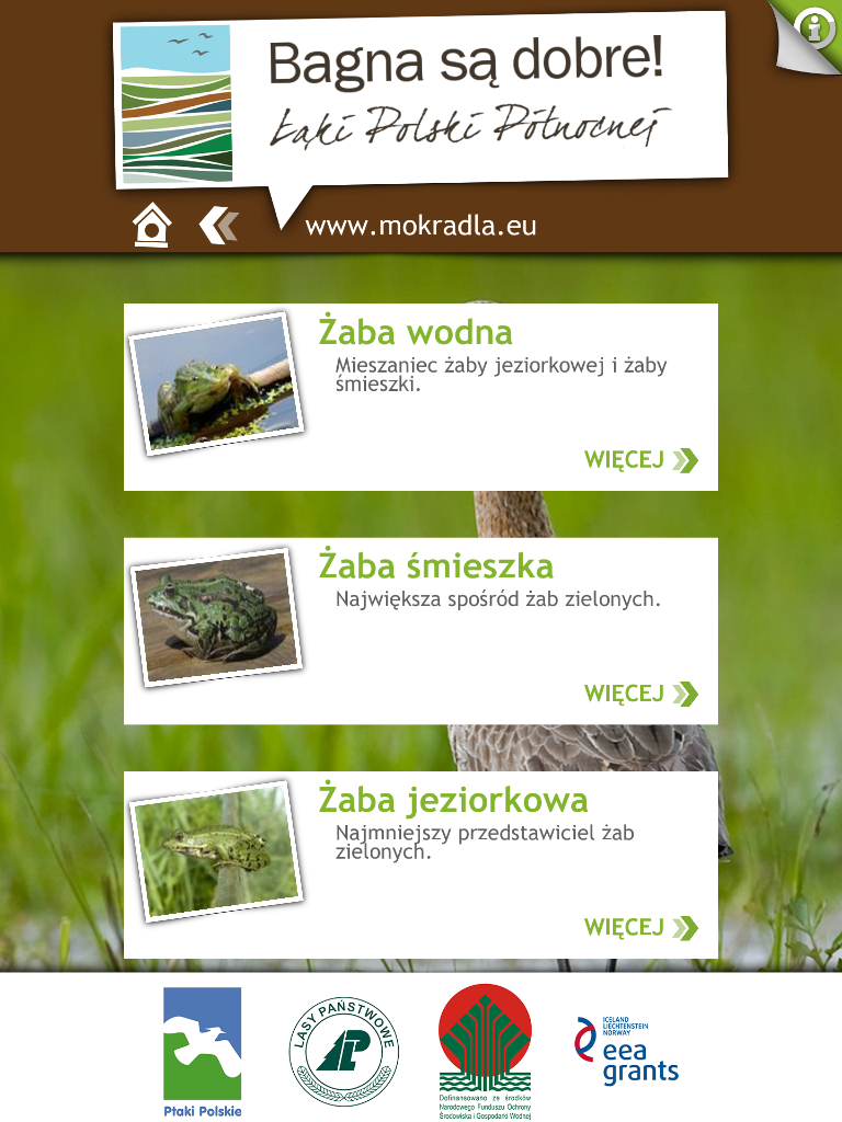 Ptaki i przyroda mokradeł