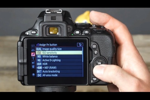 Beyond the Basics Nikon D5500 from QuickPro screenshot 4