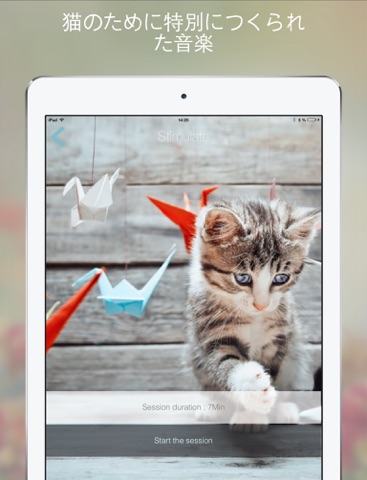 Cat Relax (キャット・リラックス) ：リラックスの気分や元気を導くサウンドスケープ . あなたの猫は彼らのために作曲の音楽に反応見て楽しんできてねのおすすめ画像4