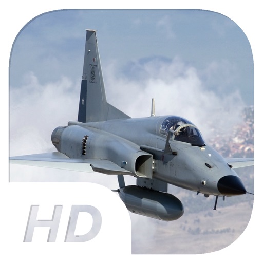 Sky Falcons - Flight Simulator icon
