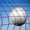 Volleyball Guide is the Complete video guide for you to learn to play volleyball