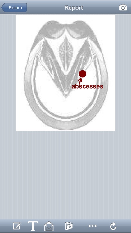 Marechalerie screenshot-3