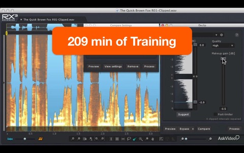 Audio Repair Course For RX3 screenshot 2