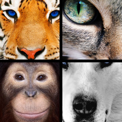 Quiz Pic: Animals iOS App