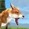 Do you love the idea of playing as a fox warrior while surviving against wild animals