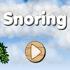 Snoring Puzzle Fun